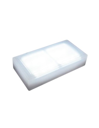 Светодиодная брусчатка 200x100 мм LED Lumbrus Brick RGB IP68