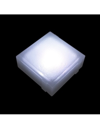 Светодиодная брусчатка 100x100 мм LED Lumbrus Brick белая IP68