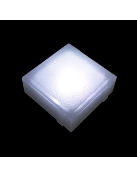 Светодиодная брусчатка 100x100 мм LED Lumbrus Brick белая IP68 Светодиодная брусчатка 100x100 мм LED Lumbrus Brick белая IP68