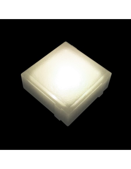 Светодиодная брусчатка 100x100 мм LED Lumbrus Brick белая IP68 Светодиодная брусчатка 100x100 мм LED Lumbrus Brick белая IP68