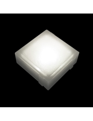 Светодиодная брусчатка 100x100 мм LED Lumbrus Brick белая IP68