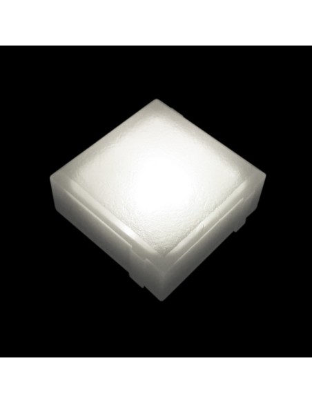 Светодиодная брусчатка 100x100 мм LED Lumbrus Brick белая IP68 Светодиодная брусчатка 100x100 мм LED Lumbrus Brick белая IP68