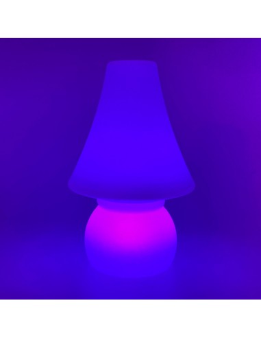Беспроводной светильник Гумба LED GOOMBA многоцветный RGB с пультом ДУ и аккумулятором