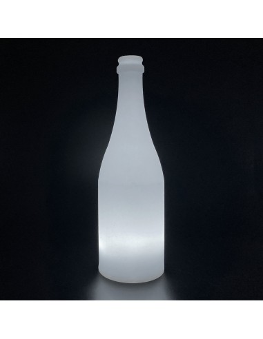 Садовый уличный светильник Бутылка LED BOTTLE c одноцветной подсветкой IP65 220V