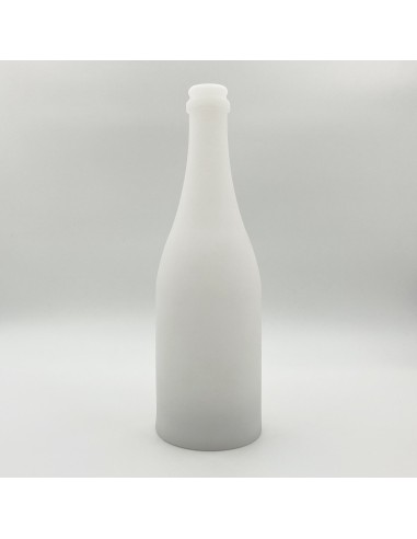 Садовый уличный светильник Бутылка LED BOTTLE c разноцветной RGB подсветкой и пультом ДУ IP65 220V