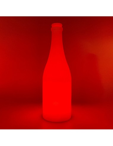 Садовый уличный светильник Бутылка LED BOTTLE c разноцветной RGB подсветкой и пультом ДУ IP65 220V