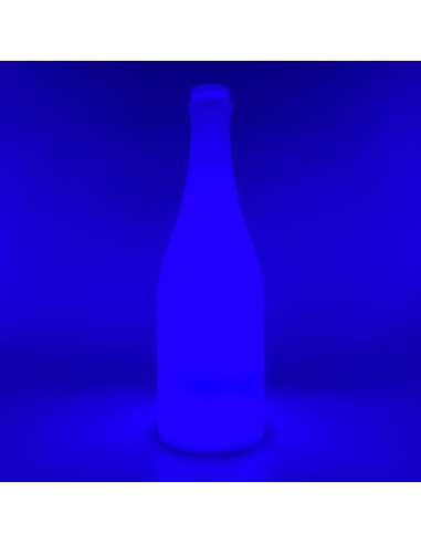 Садовый уличный светильник Бутылка LED BOTTLE c разноцветной RGB подсветкой и пультом ДУ IP65 220V