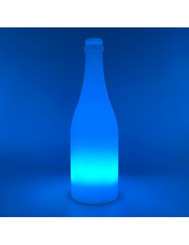 Садовый уличный светильник Бутылка LED BOTTLE c разноцветной RGB подсветкой и пультом ДУ IP65 220V