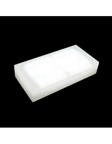 Светодиодная брусчатка 200x100 мм LED Lumbrus Brick белая IP68