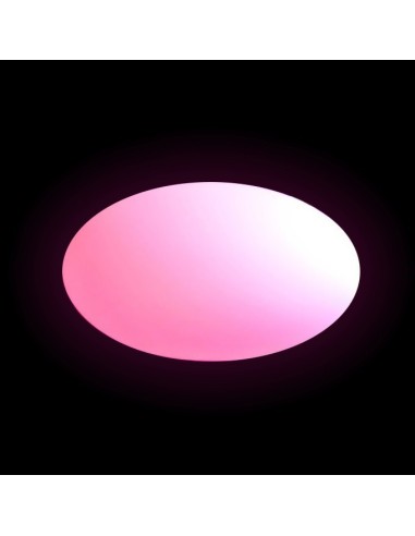 Настольная лампа Овал LED Oval RGB 220V